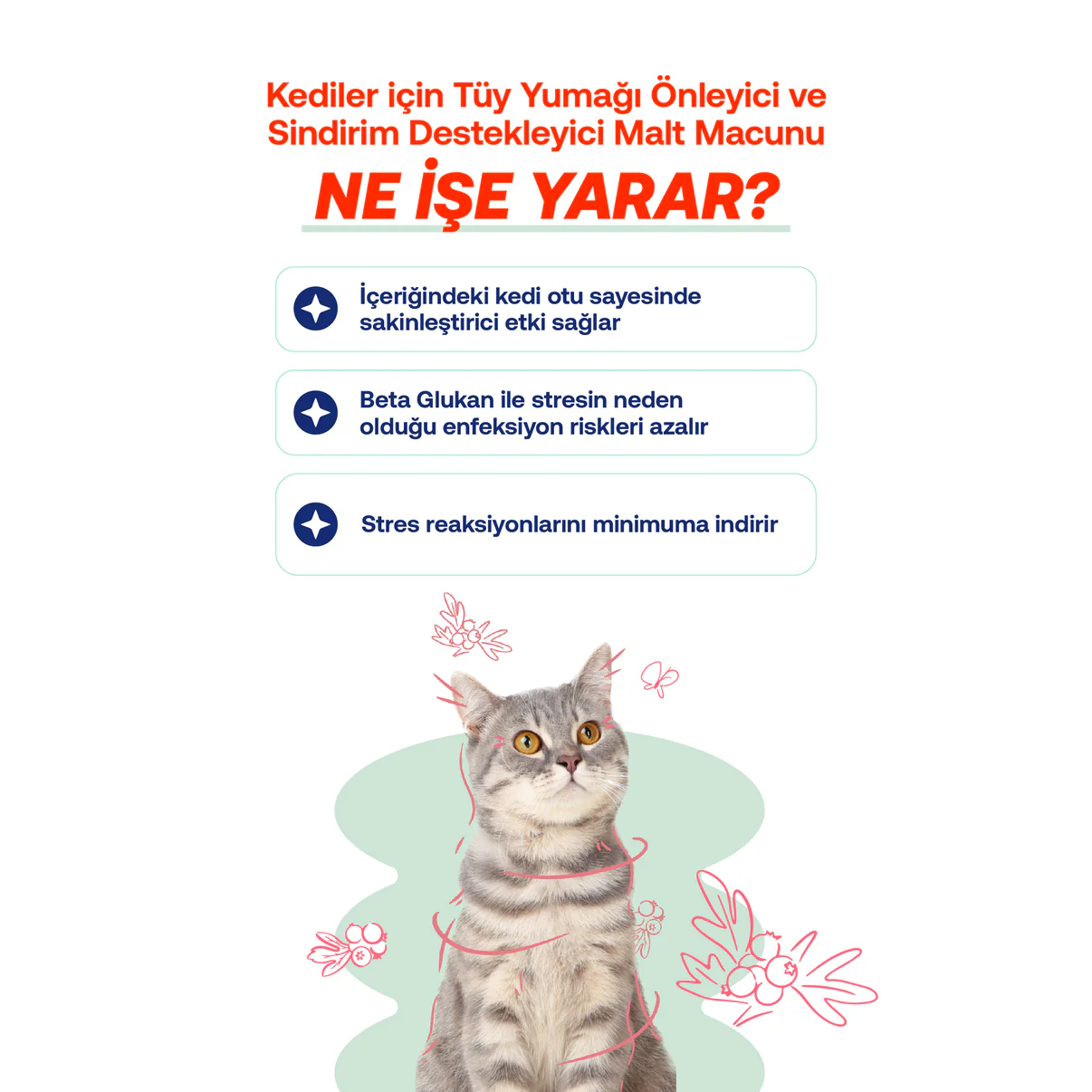 BİOFELİNE RELAX PASTE -Sakinleştirici Kedi Macunu – Doğal Stres Giderici -Kantaron İçerikli (30g)- 2038