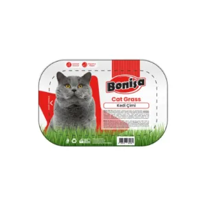 Bonisa %100 Organik Kedi Çimi Hazır Set - Tüy Yumağı Önleyici & Sindirim Dostu