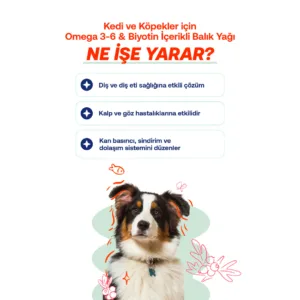 "Ne İşe Yarar?" başlığı altında; diş eti sağlığı, kalp ve göz hastalıklarına etkisi, sindirim ve dolaşım sistemini düzenlediğini belirten maddeler ve köpek görseli.