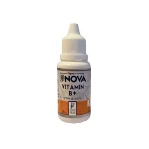 Nova Kuş B+ Vitamini Tüy Bakım ve İştah Artırıcı Damla - 30 ml