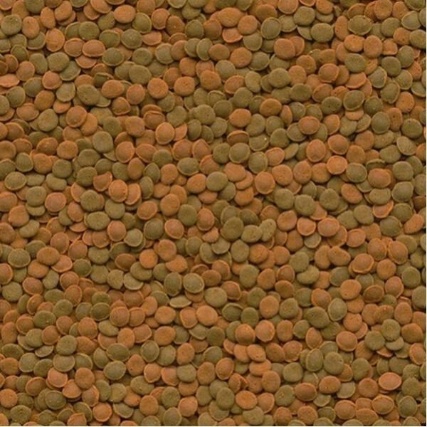 Tetra Wafermix Dip Balık Yemi 100 Ml- 0041 Yakın çekim, kahverengi ve yeşil renklerdeki küçük yuvarlak disk (wafer) yemlerin karışık görünümü.