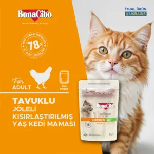 BonaCibo Jöleli Tavuklu Kısırlaştırılmış Yetişkin Kedi Yaş Maması 85 Gr